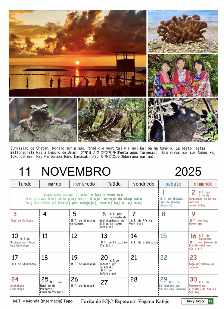 Esperanta Kalendaro 2025 エスペラント・カレンダー2025