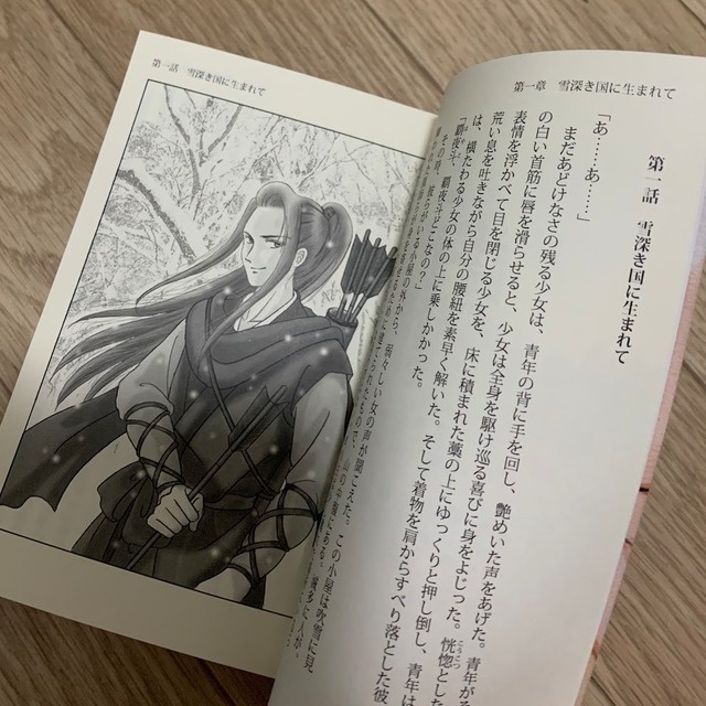 白き覇王の軌跡