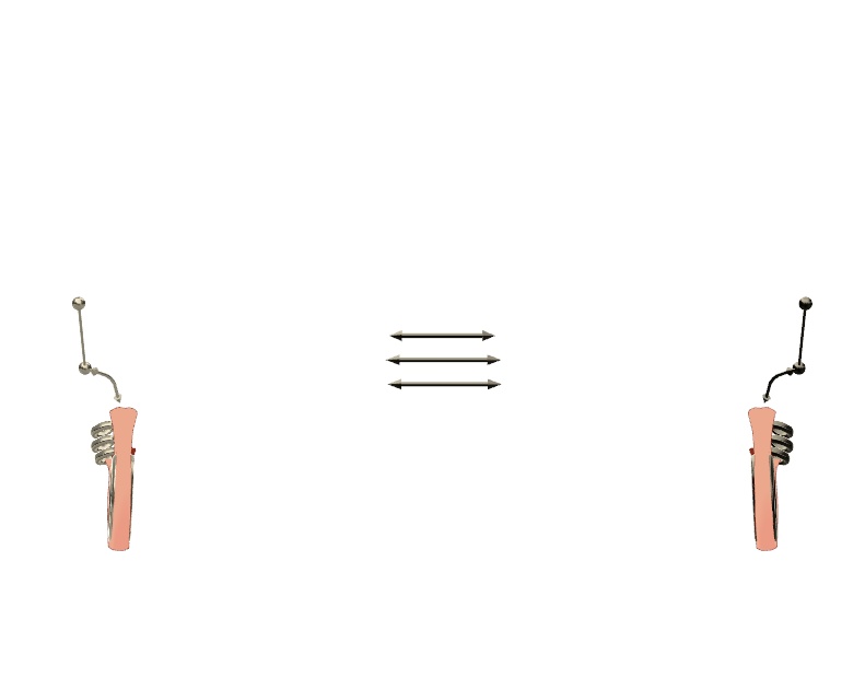 Rindo Ears Expansion Piercing 耳の拡張 「竜胆」