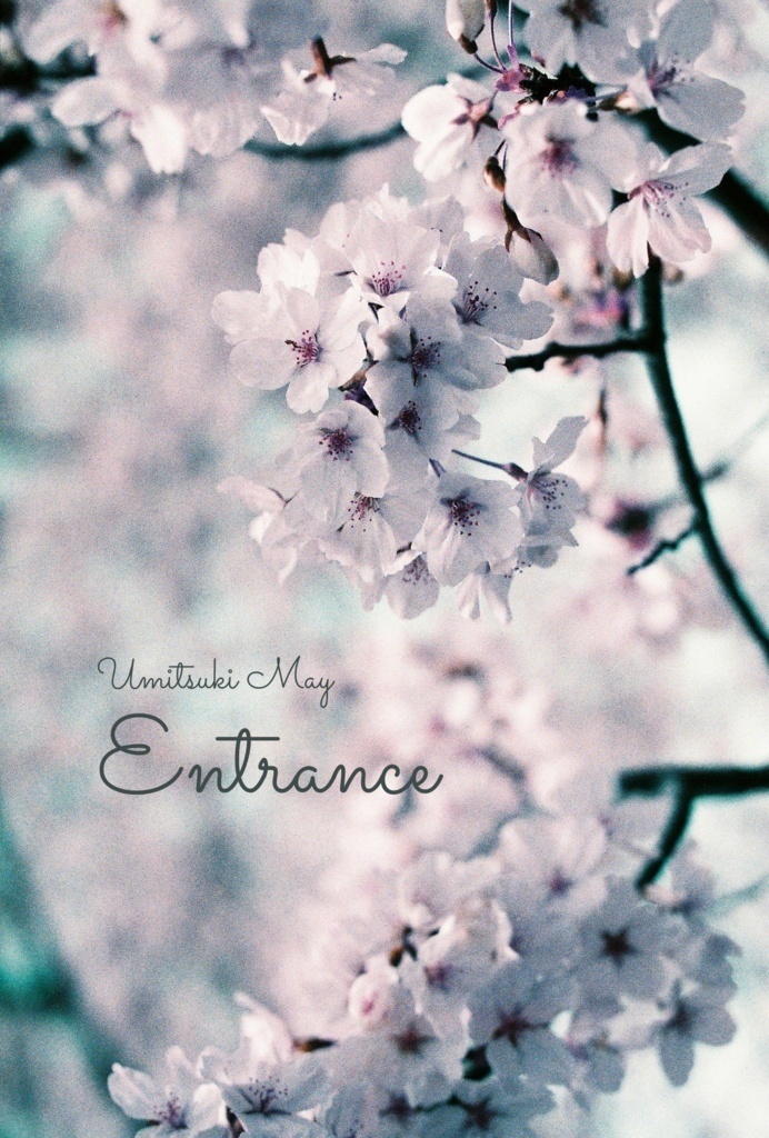 かりんじゃむ!!+Entrance~年末年始セール~