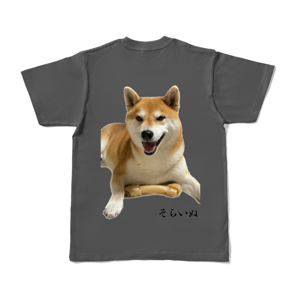 イッヌ カラーTシャツ 1