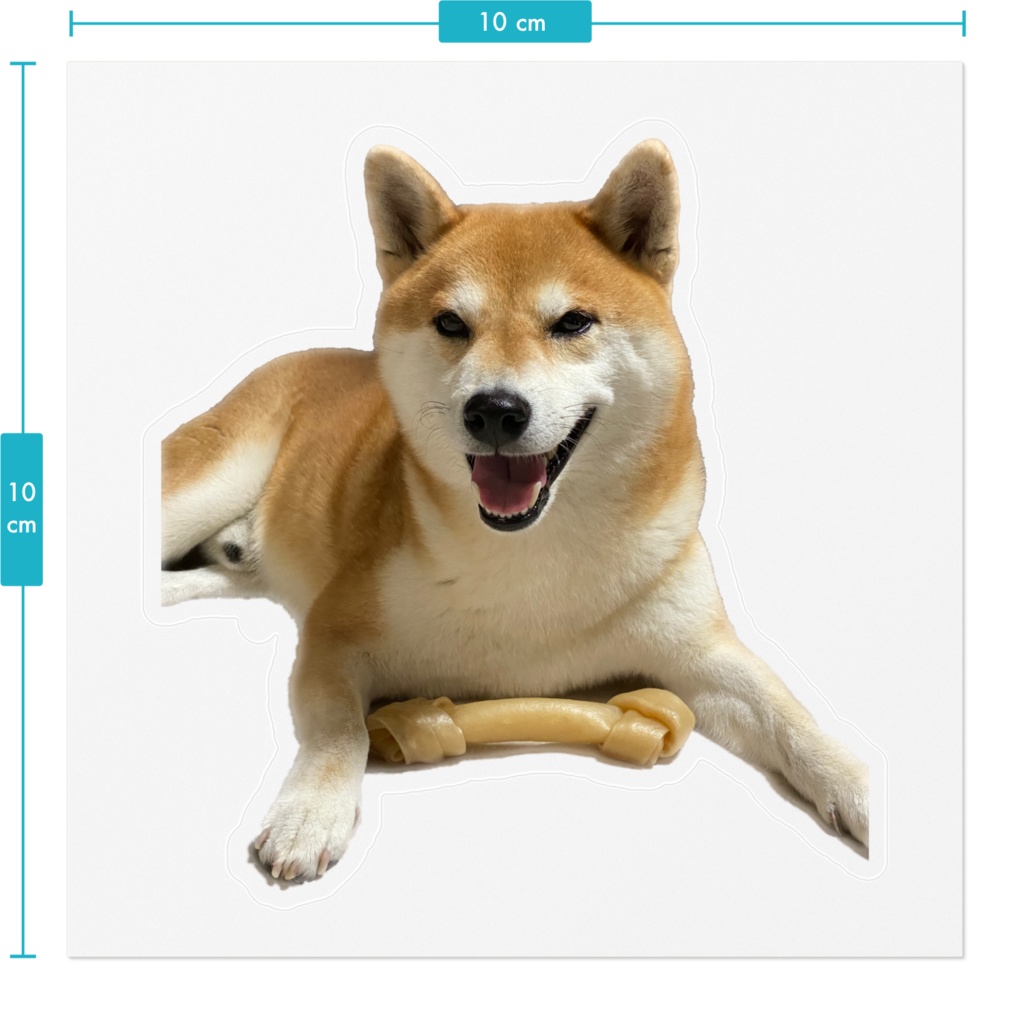 イッヌ ステッカー 1