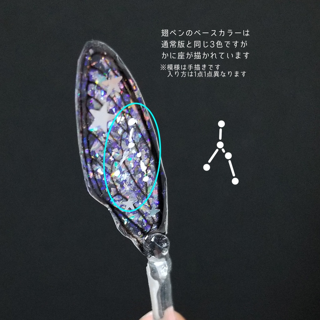 かに座:【星座図鑑】天文学者の記録道具