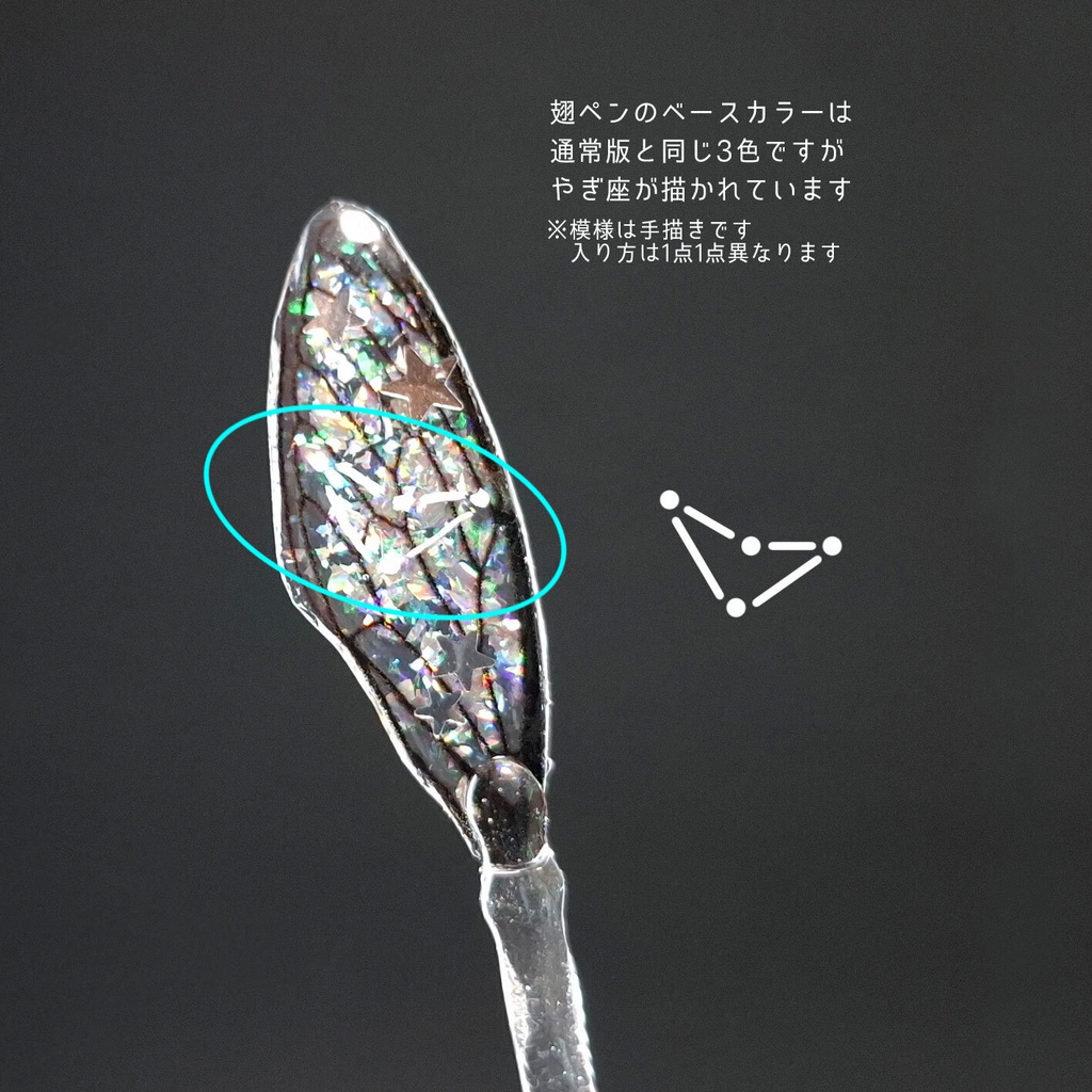 やぎ座:【星座図鑑】天文学者の記録道具