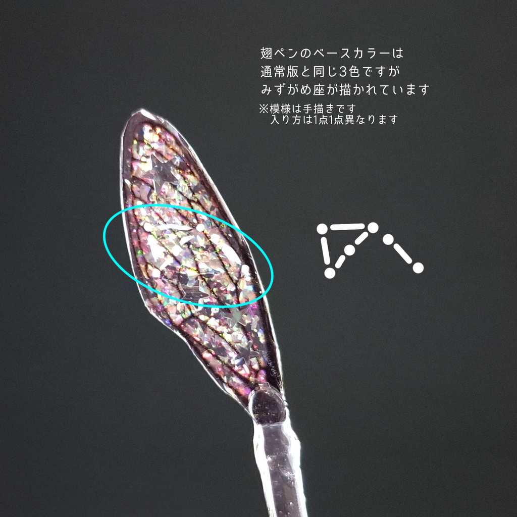 みずがめ座:【星座図鑑】天文学者の記録道具