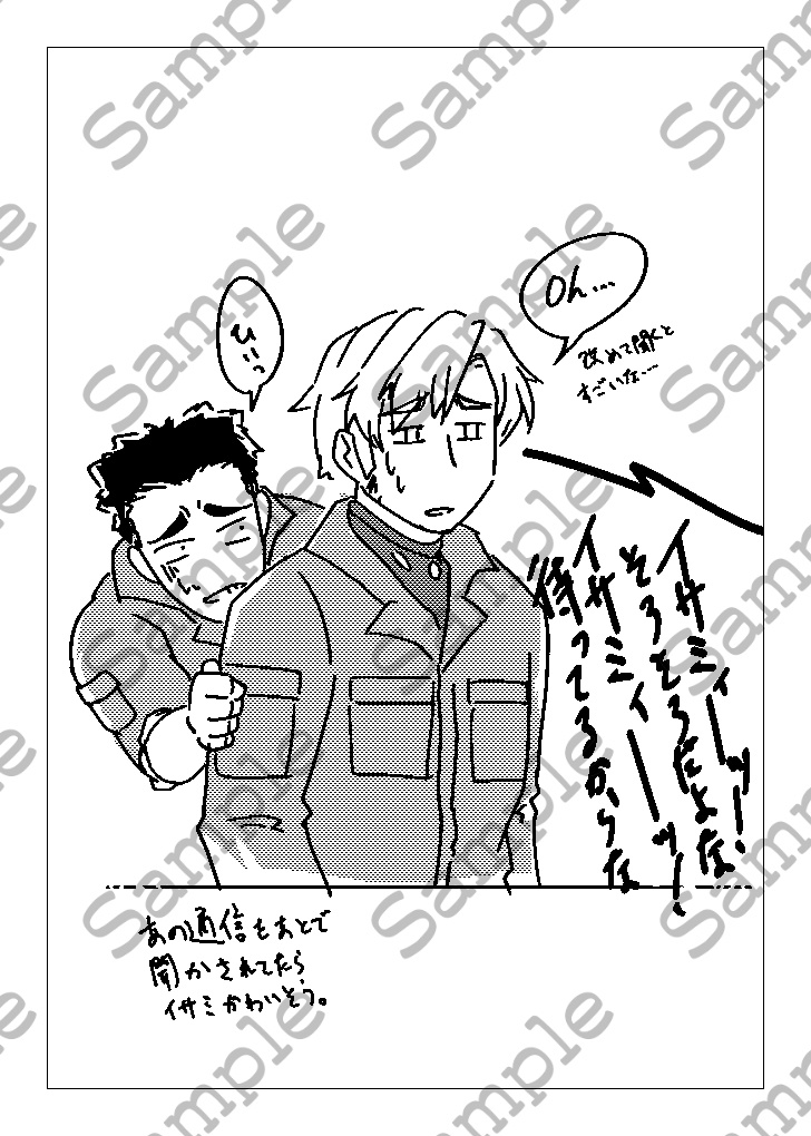 オペレーションフリップサイド