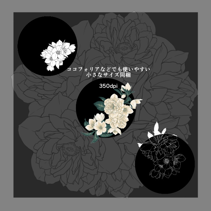 クリスマスローズ装飾素材