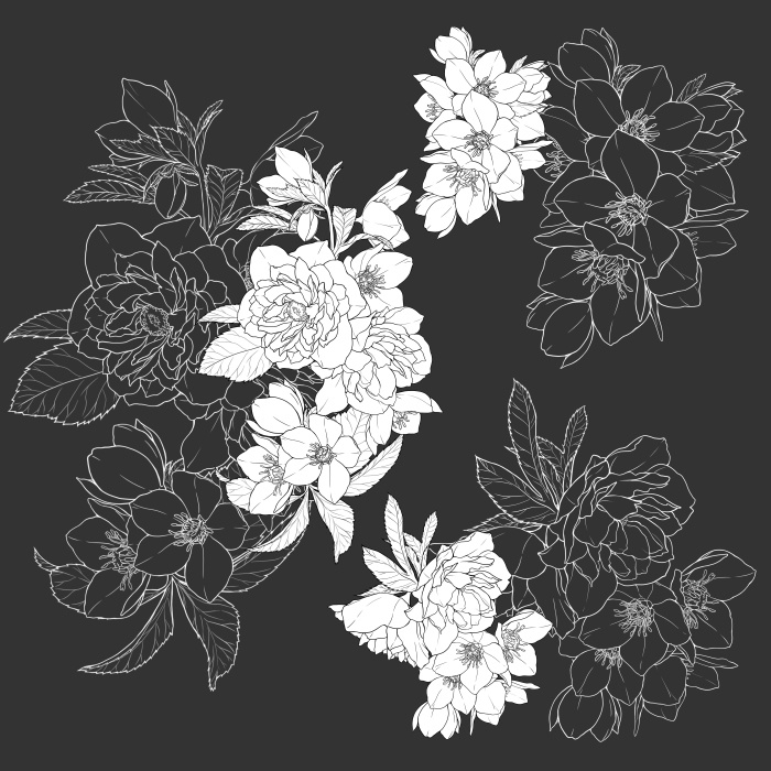 クリスマスローズ装飾素材