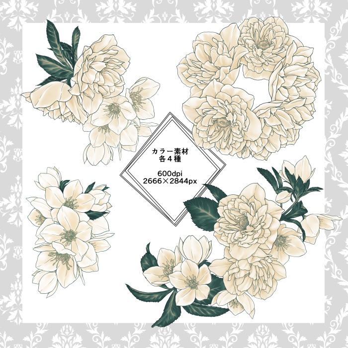 クリスマスローズ装飾素材