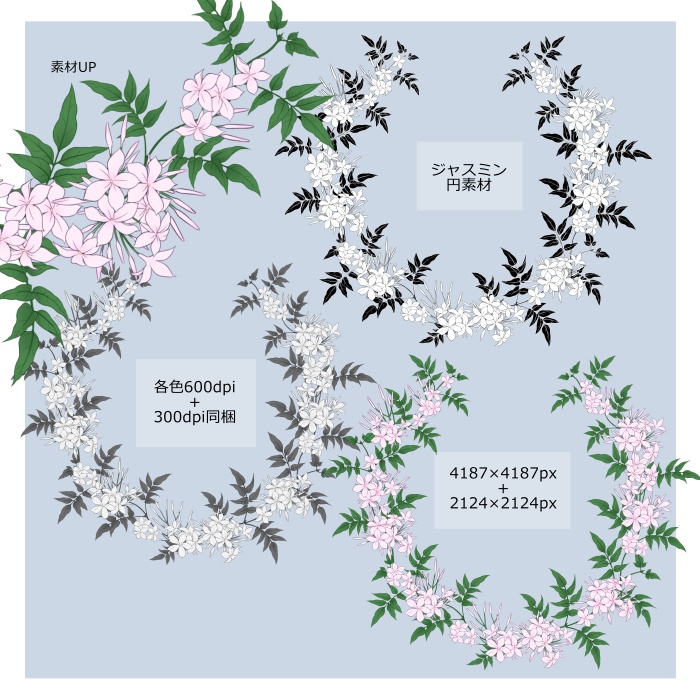 ジャスミン装飾素材集