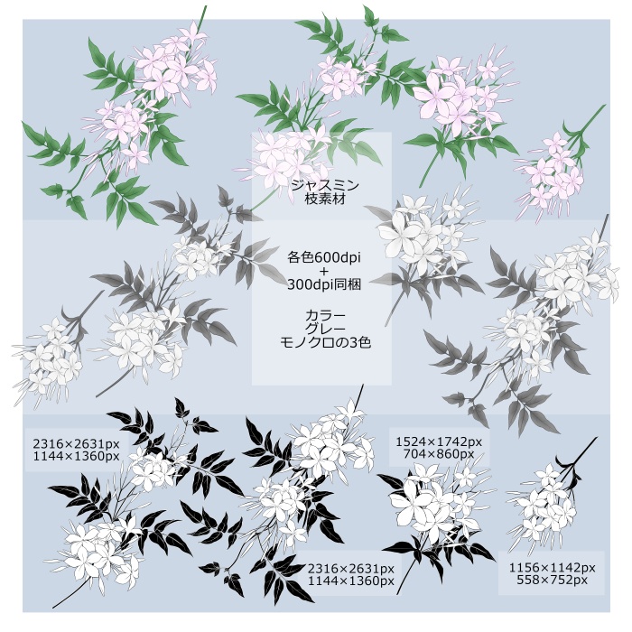 ジャスミン装飾素材集