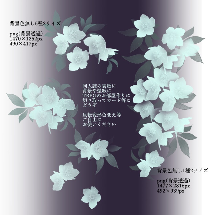 ホワイト クリスマスローズ