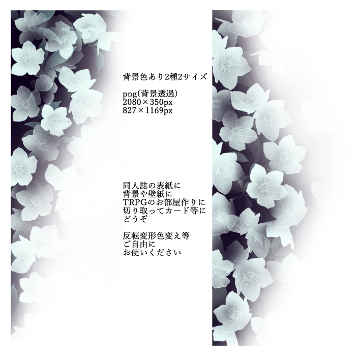 ホワイト クリスマスローズ