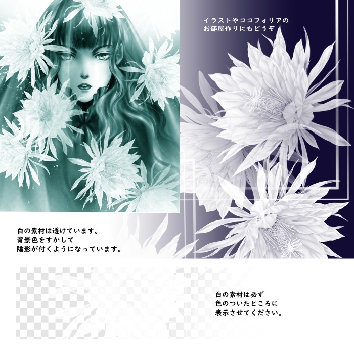 月下美人 花素材とフレーム