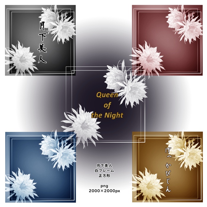 月下美人 花素材とフレーム