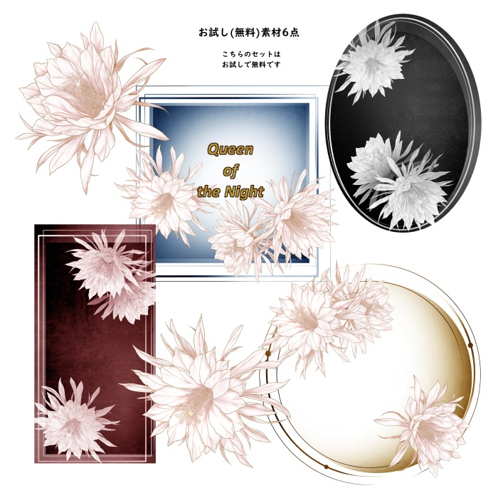 月下美人 花素材とフレーム