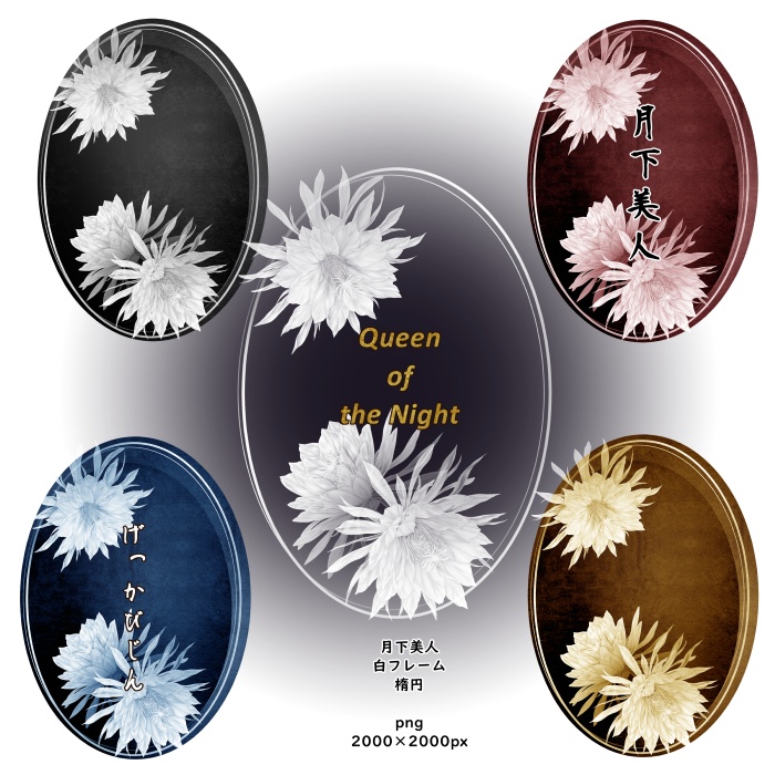 月下美人 花素材とフレーム