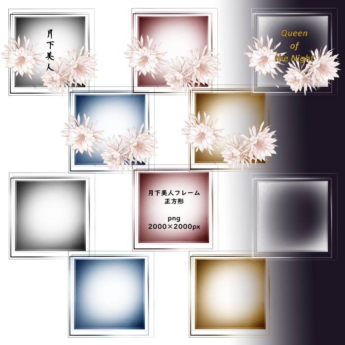 月下美人 花素材とフレーム