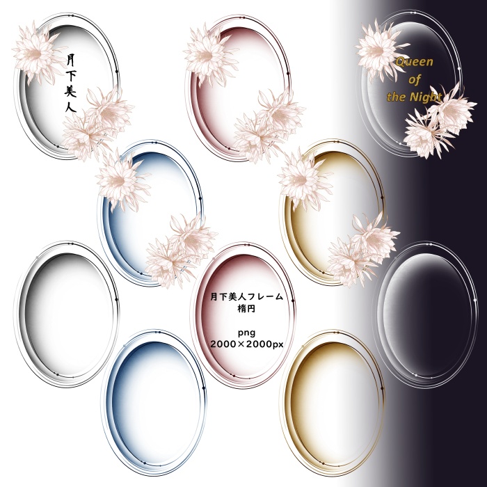 月下美人 花素材とフレーム