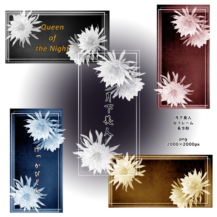月下美人 花素材とフレーム