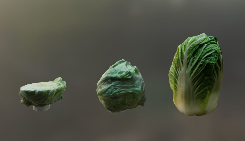 3Dスキャンモデル・野菜セット01
