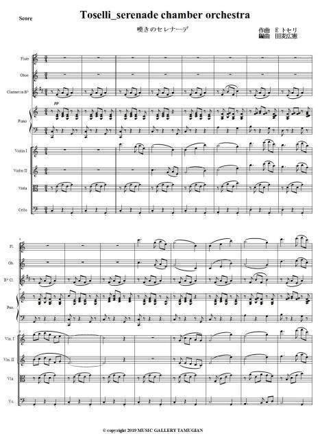 「嘆きのセレナーデ」小編成管弦楽