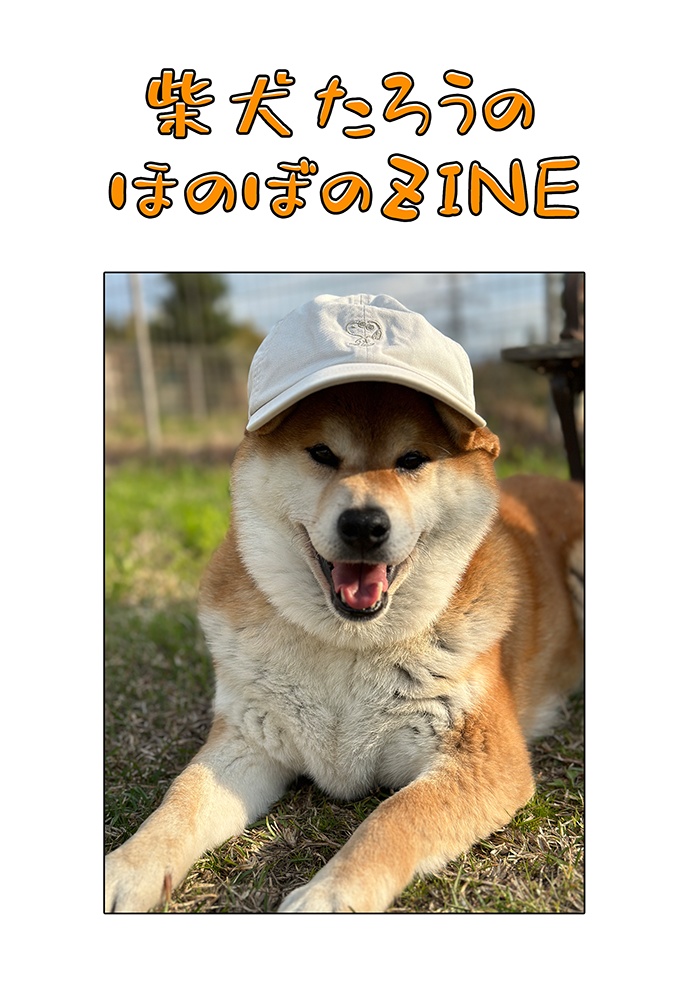 写真ZINE「柴犬たろうのほのぼのZINE」
