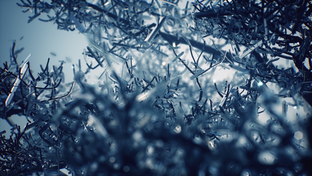 felys | Artcore Collection ジャケットサイン入り