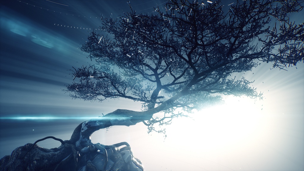 felys | Artcore Collection ジャケットサイン入り