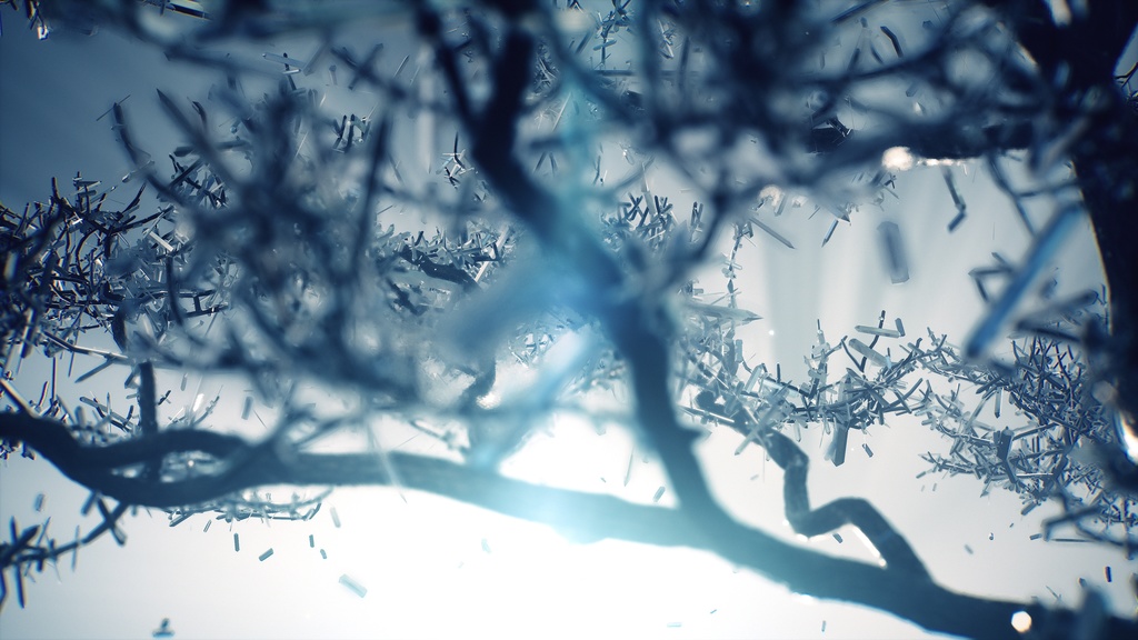 felys | Artcore Collection ジャケットサイン入り