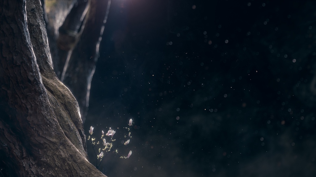 Testimony2 Cytus | Deemo ジャケットサイン入り