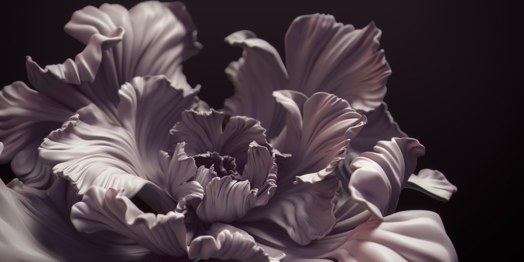 nexuz | onoken vocal collection ジャケットサイン入り