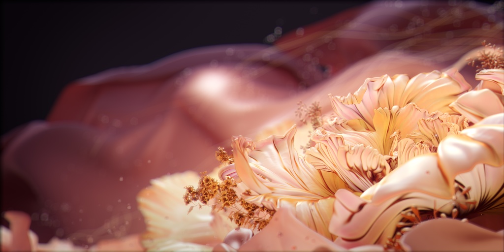 nexuz | onoken vocal collection ジャケットサイン入り