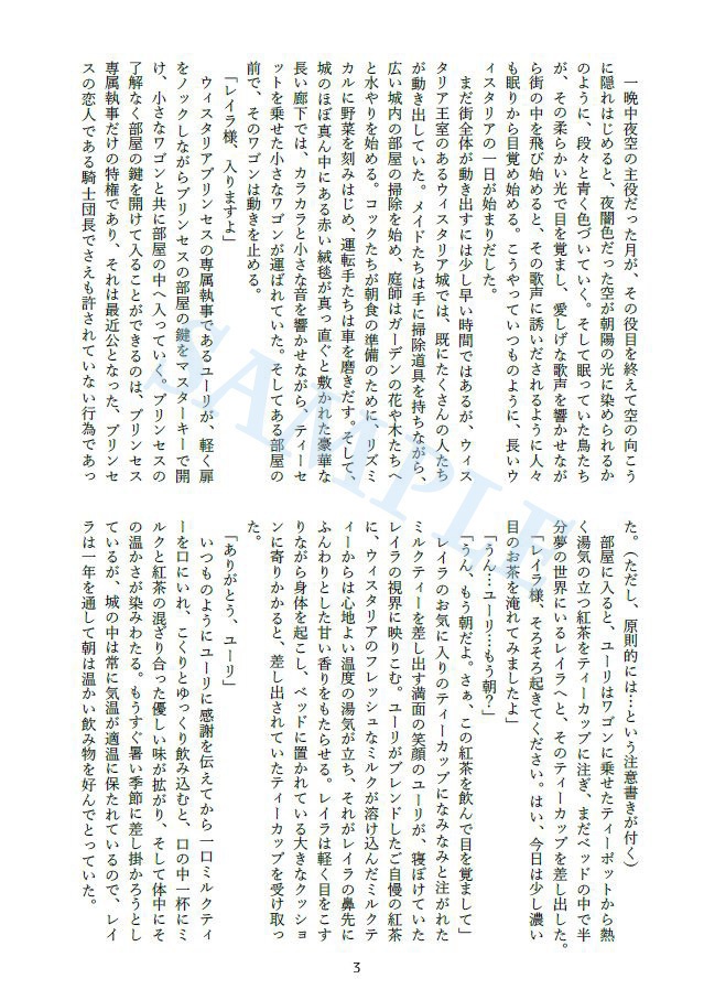 騎士団長の悩みとプリンセスの約束