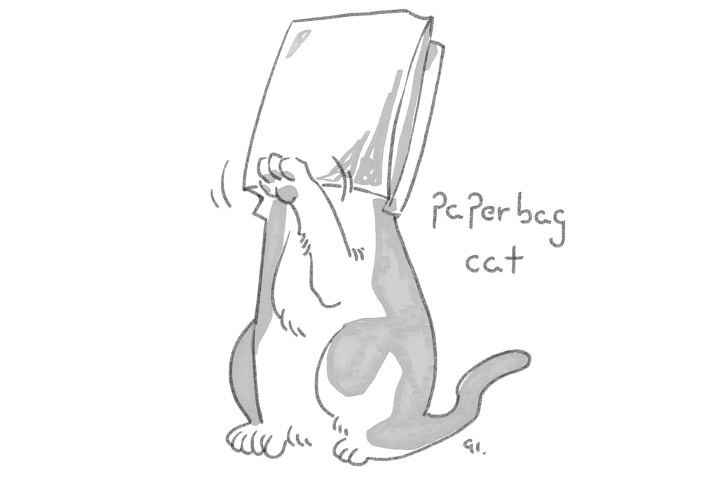 紙袋猫のサコッシュ