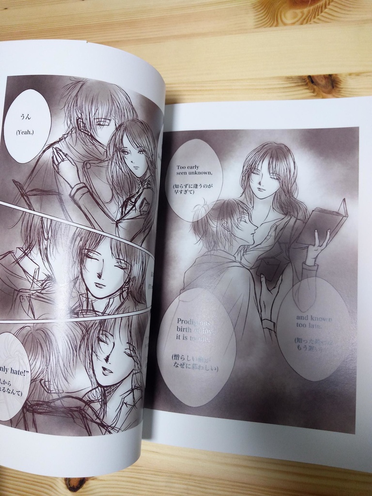 AOT Pikuhan Doujinshi「our lady in paradis」Hange×Pieck