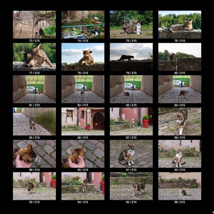 【無料】ヨーロッパのねこくん&わんこくん(215点)