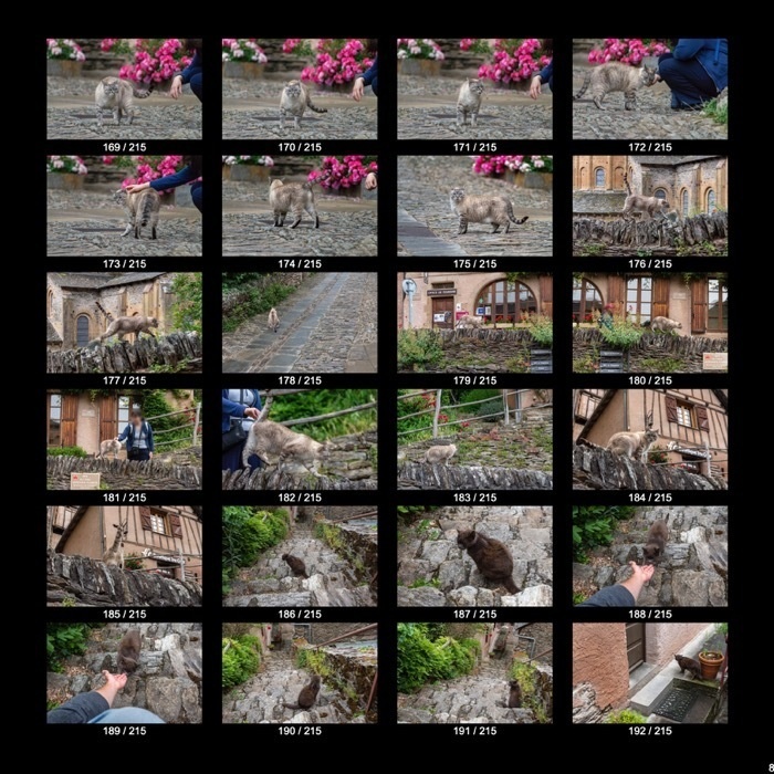 【無料】ヨーロッパのねこくん&わんこくん(215点)