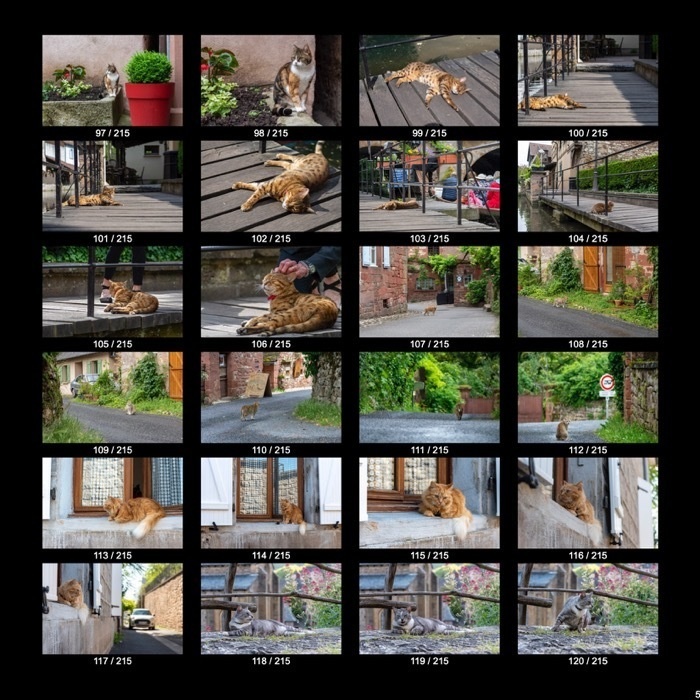 【無料】ヨーロッパのねこくん&わんこくん(215点)