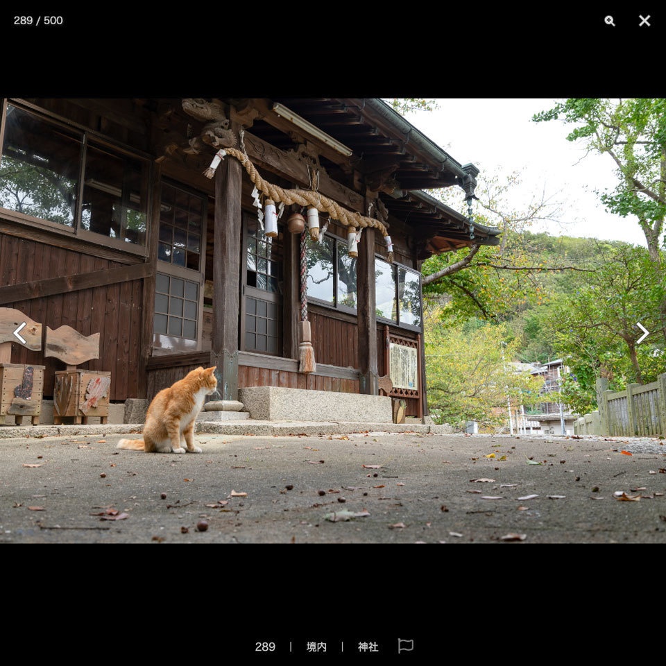 【2022夏新刊】漫画背景資料 CAT ISLAND 〜猫の住む島〜