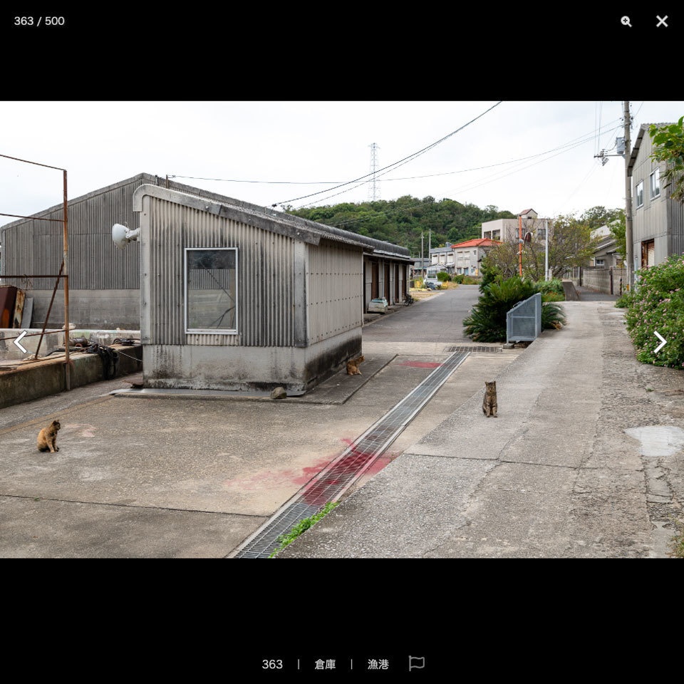 【2022夏新刊】漫画背景資料 CAT ISLAND 〜猫の住む島〜
