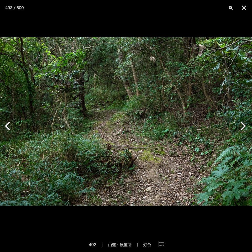 【2022夏新刊】漫画背景資料 CAT ISLAND 〜猫の住む島〜