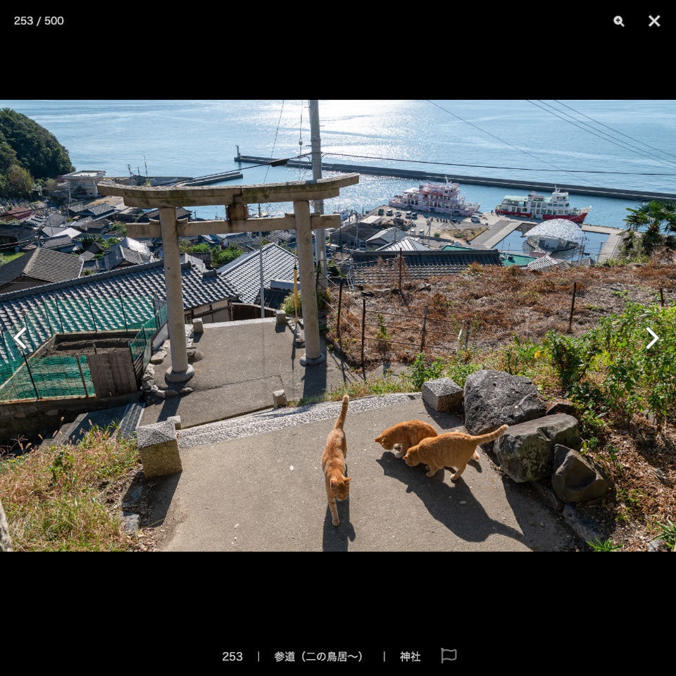 【2022夏新刊】漫画背景資料 CAT ISLAND 〜猫の住む島〜