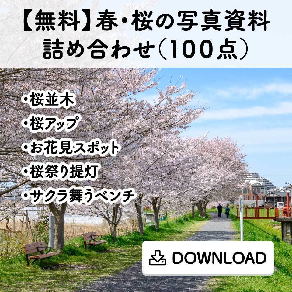 【無料】 春・桜の写真資料詰め合わせ（１００点）
