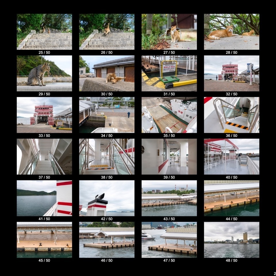 【無料】離島でのんびり暮らす島猫くん+α(50点)