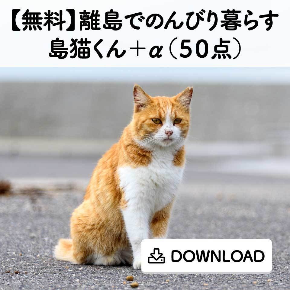 【無料】離島でのんびり暮らす島猫くん＋α（５０点）