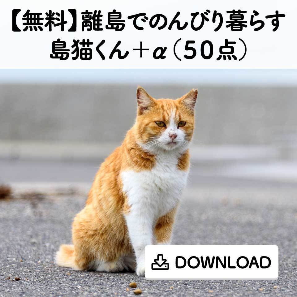 【無料】離島でのんびり暮らす島猫くん+α(50点)