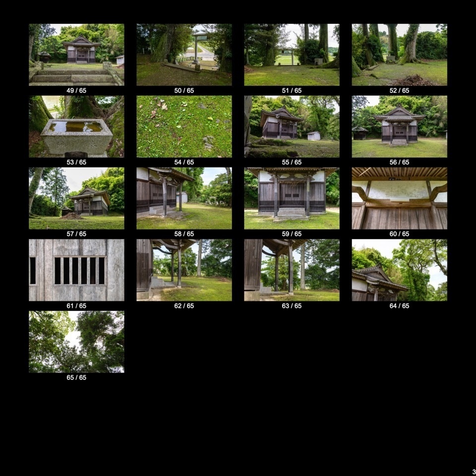 ✨NEW✨【無料】山中&苔むす神社2選(65点)