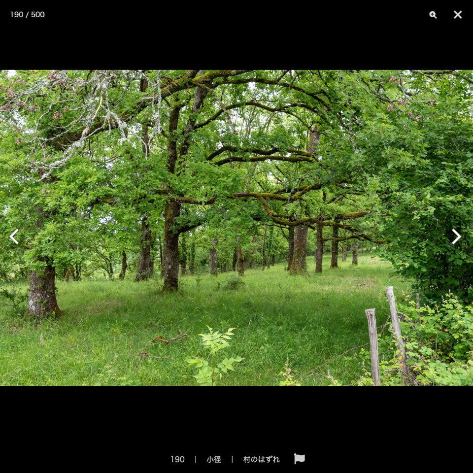 【20%OFF!】フランス&ドイツ素材集セット