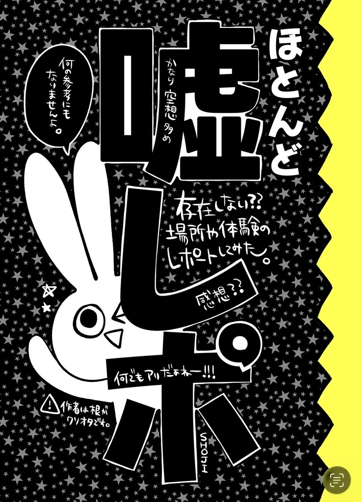 ほぼ嘘レポ
